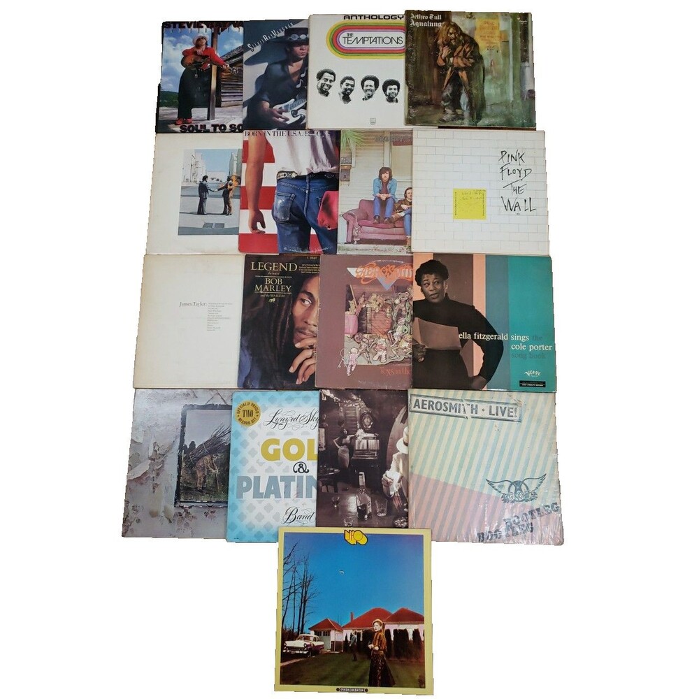 Vinyl Records Lot of 19 UFO Pink Floyd Temptations Lynyrd Skynyrd Bob Marley